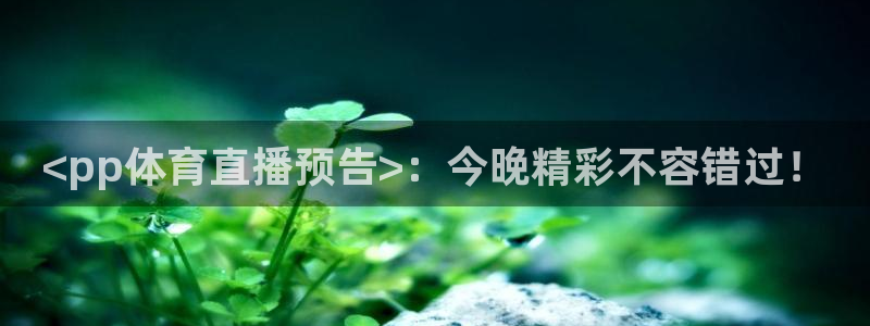 <pp体育直播预告>：今晚精彩不容错过！