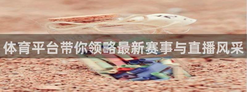 体育平台带你领略最新赛事与直播风采