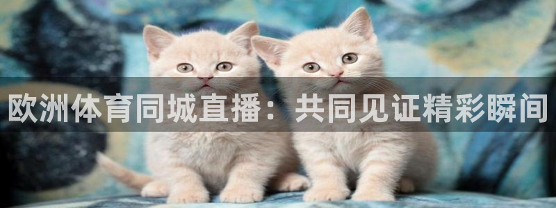 欧洲体育同城直播：共同见证精彩瞬间