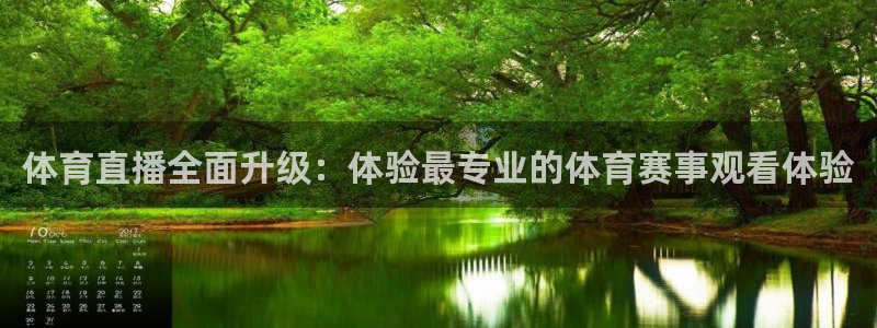 体育直播全面升级：体验最专业的体育赛事观看体验