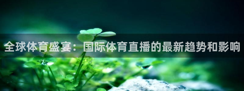 全球体育盛宴：国际体育直播的最新趋势和影响