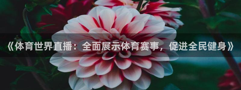 《体育世界直播：全面展示体育赛事，促进全民健身》