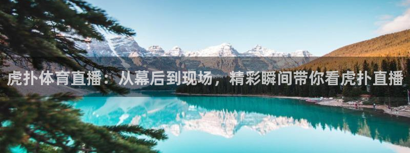 虎扑体育直播：从幕后到现场，精彩瞬间带你看虎扑直播