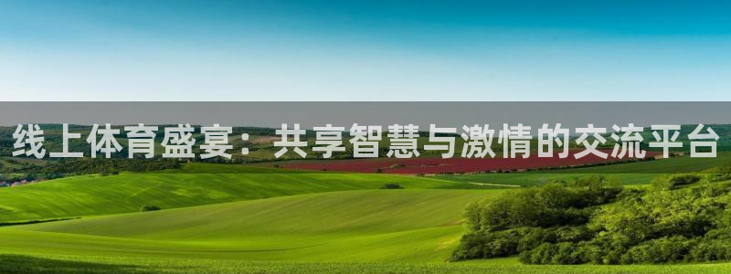 线上体育盛宴：共享智慧与激情的交流平台