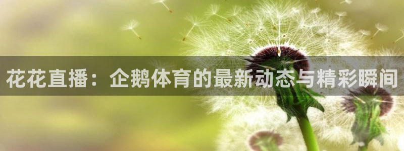花花直播：企鹅体育的最新动态与精彩瞬间