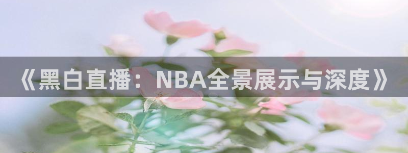 《黑白直播：NBA全景展示与深度》