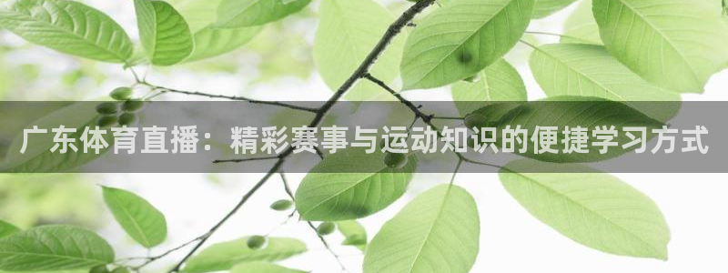 广东体育直播：精彩赛事与运动知识的便捷学习方式