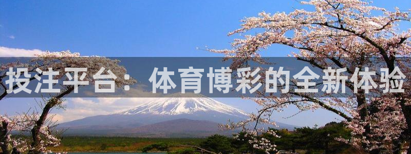 投注平台：体育博彩的全新体验