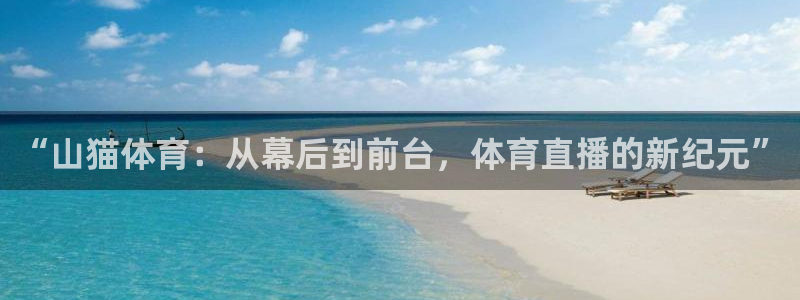 “山猫体育：从幕后到前台，体育直播的新纪元”