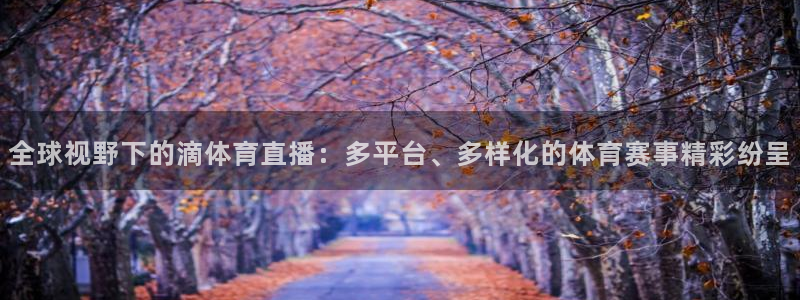 全球视野下的滴体育直播：多平台、多样化的体育赛事精彩纷呈