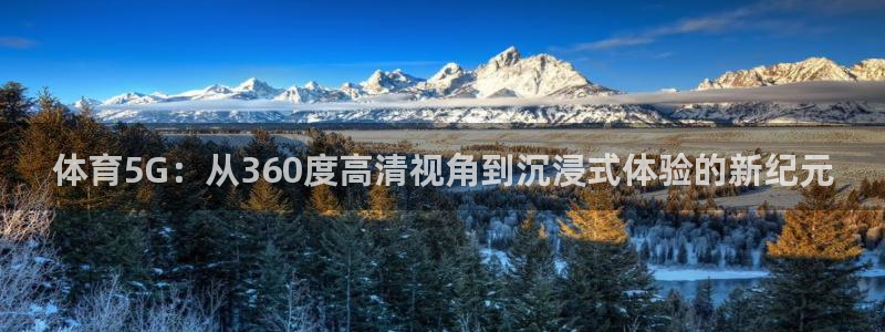 体育5G：从360度高清视角到沉浸式体验的新纪元