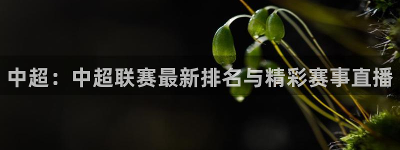 中超：中超联赛最新排名与精彩赛事直播