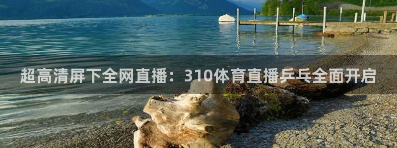 超高清屏下全网直播：310体育直播乒乓全面开启