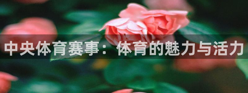 中央体育赛事：体育的魅力与活力